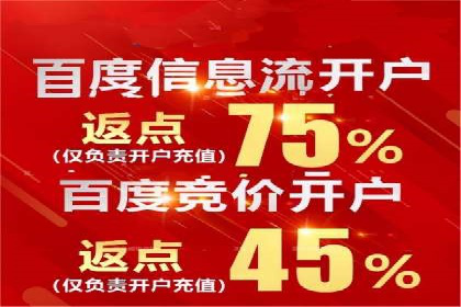 SEM代理的优化策略及成功案例